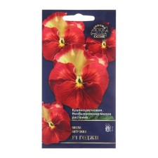 Comei Viola Flowers, 5 pcs,