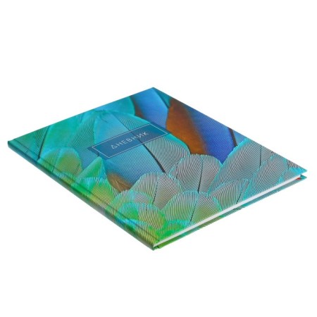 Diary for grades 5-11, "feathers 2", solid cover 7BC, matte lamination, selective varnish, 48 sheets-1
