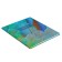 Diary for grades 5-11, "feathers 2", solid cover 7BC, matte lamination, selective varnish, 48 sheets