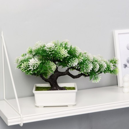 Bonsai "Star" 16x22 cm, mix-8