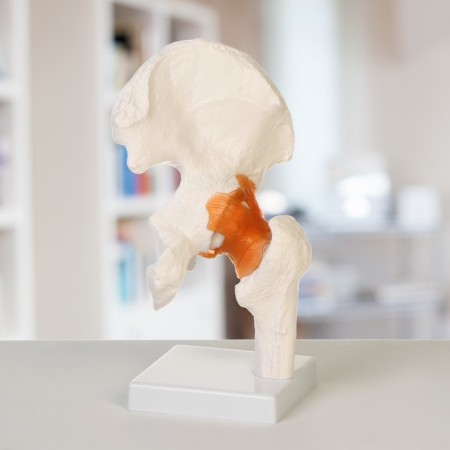 Matcam "hip joint" 24*11*11cm-1
