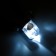 Smart animal clawers, with a file, LED flashlight and a claw container, on batteries