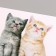 Stick 3D interior cats 29*21cm