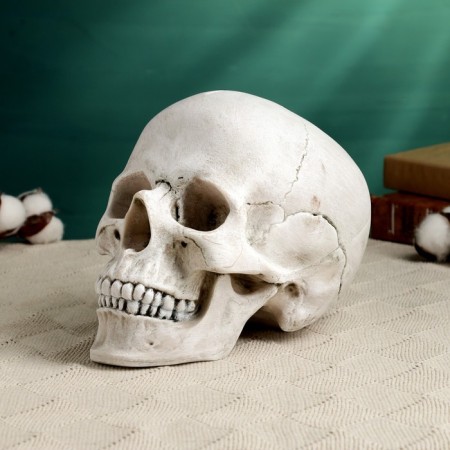 Pigger "Skull Yorik" Gray Stone, 23x14x17cm-1