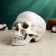 Pigger "Skull Yorik" Gray Stone, 23x14x17cm