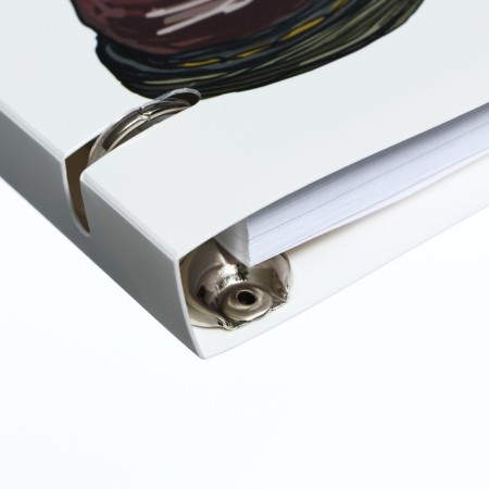 Notebook on rings, 80 sheets in the "Brown Boots" line, plastic cover, shift block 70 g/m2-2