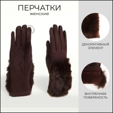Gloves are female, dimensionless, without insulation, brown color
