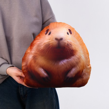 Antistress toy "Guinea pig"-4