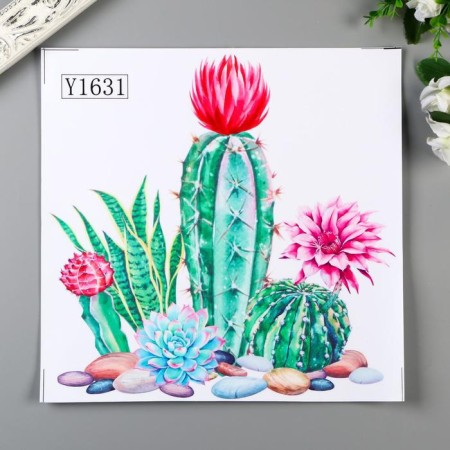 Interior plastic sticker "Blooming cacti" 30x30 cm-1