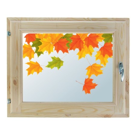 Window 40x60 cm, "autumn paints", single -chamber double -glazed window, seal, needles