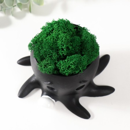 Concrete Kashpo "Osminog" height 7 cm, d-6.5 cm black with a white paw with moss (moss green, stub)-4