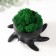 Concrete Kashpo "Osminog" height 7 cm, d-6.5 cm black with a white paw with moss (moss green, stub)
