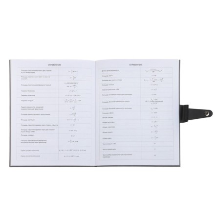 Universal diary for grades 1-11 Favorite, integrated artificial leather cover on the button, embossing foil, liesse, 48 sheets-16