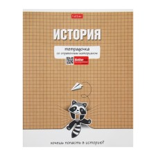 Тетрадь предметная "Тетрадочка", 48 листов в клетку "История", обложка мелованный картон, выборочный лак, со справочным материалом