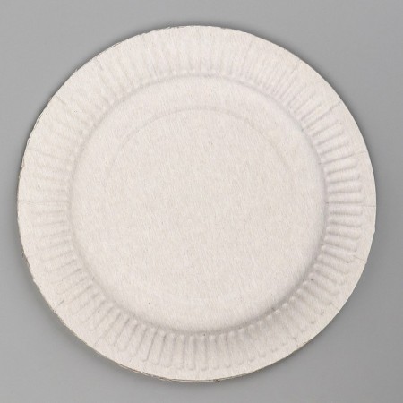 Disposable paper plate "Duck", 18 cm-2