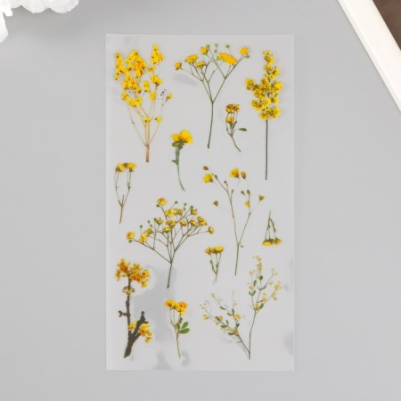 Plastic stickers "Mimosa" set 6x18 cm-2