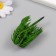 Artificial plant for creativity plastic "Boys -out Iva" 8 cm