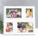 Multi -chamber plastic in 4 photos (2/10x15 cm, 2/5x7 cm), col. White (plastic screen)