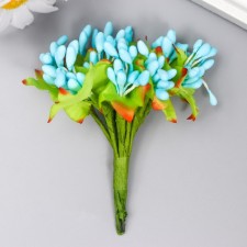Flowers for decorating 