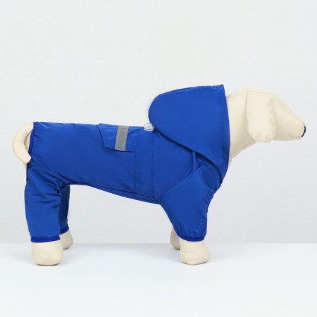 Combiason for dogs, demi -season with a lining, size 2xl (DS 42, OG 56 cm), blue-2