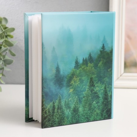 Photo album in 100 photos "FOG" 10x15 cm-1