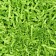 Filling paper, green linden, 1000 g