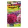 Pinocchio clove seeds, 0.1 gr.