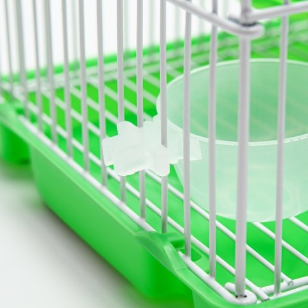 A cell for rodents equipped RT-2C, 23 x 16.5 x 20 cm, green-4