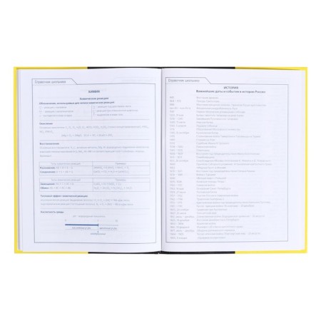 Universal diary for grades 5-11 Black & Yellow, solid cover, glossy lamination, 48 sheets-13