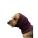 Knitwear Capor for a dog, size L (diameter 44-66 cm, length 43 cm), burgundy