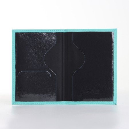 Covers for passport, turquoise color-2