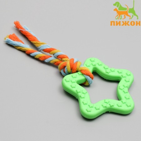 Chewing toy with a rope "Star with a tail", green
