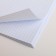 A4 notebook in a cage, 96 sheets on a paper clip, “September 1: Jungle”, covered Cardon Cardboard 215 gr., 80 gr., Beliac 96%