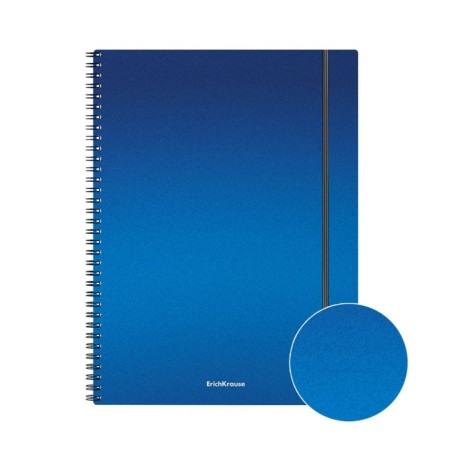 A4 notebook, 80 sheets in a cage on the crest Erichkrause Ice Metallic, plastic cover, elastic band, offset block, whiteness 100%, mix-2