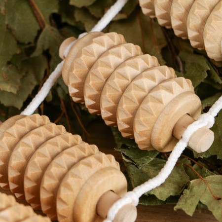 Banner Massager "Dobroparov" roller, gear-1