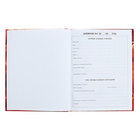 Diary for grades 5-11 anime. Man, hard cover, glossy lamination, 48 sheets-3