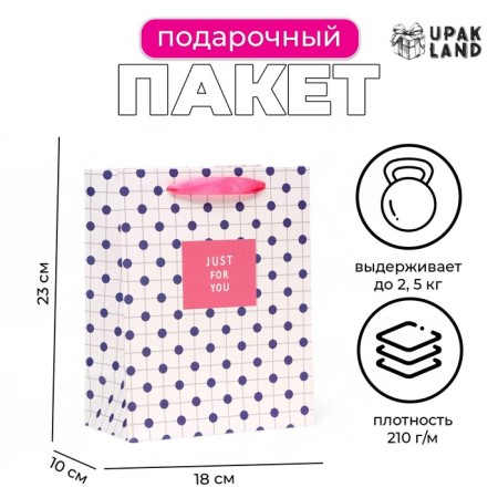 Laminated package "Just for You", MS 18 × 23 × 10 cm