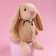 Soft toy "The most beautiful", bunny