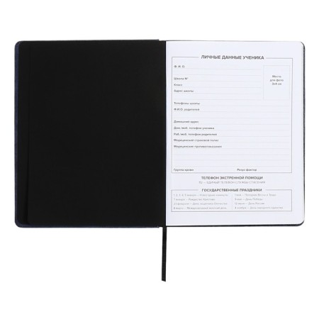 School diary for grades 1-11, solid cover, artificial leather, applique, pancake embossing, metal scruffies, silk-films, lies, 48 ​​sheets, block 80g/m2, black-4