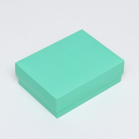 The box is folding, mint, 16.5 x 12.5 x 5.2 cm-1