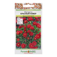 Flower seeds Margarita 