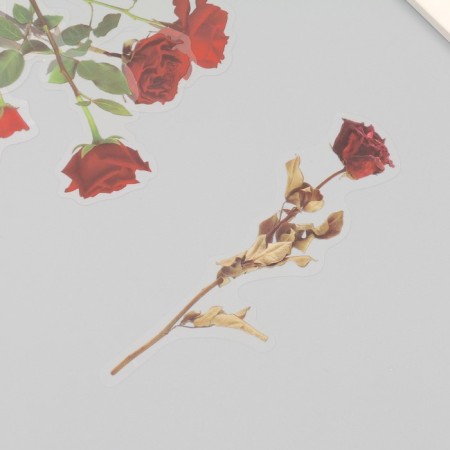 Plastic stickers "Flowers and quotes. Red roses" set 12 pcs 8.5x21.5x0.2 cm-1