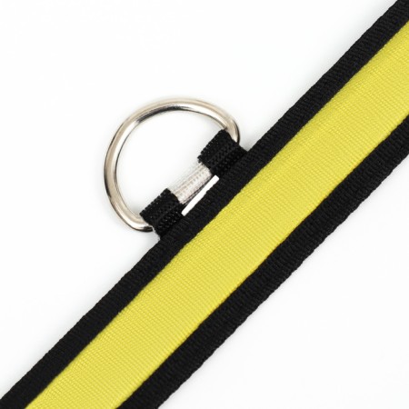 Collar with flash lighting 3 lumineshes, size XL, Osh 52-60 x 2.5 cm yellow-8