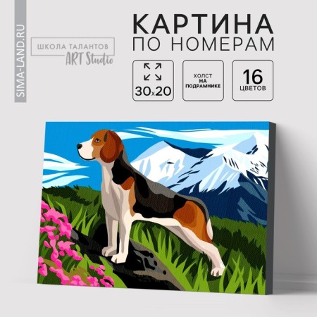 Picture on numbers on canvas with a subframe of Bigl in the Mountains, 30x20 cm