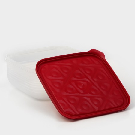 The container is plastic with the lid Flexo, 2.7 l, the color is red-4