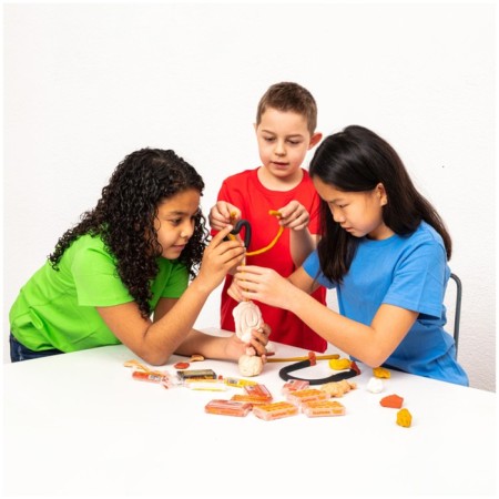 Plant -based plasticine, 6 colors, 90 g, jovi, bodily palette, euro suspension, for kids-4
