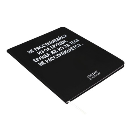 Universal diary for grade 1-11 "Do not be upset due to nonsense", integral cover, artificial leather, silkography, liesse, 80 g/m2-1