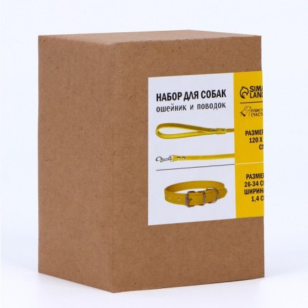 Set of collar (26-34x1.4 cm) and leash (120x1 cm) from eco-leather, yellow-7