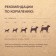 Titbit drying drying for dogs, with beef, soft packaging, 1 kg