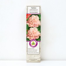 Pion tree pion (vaccinated for grassy) 